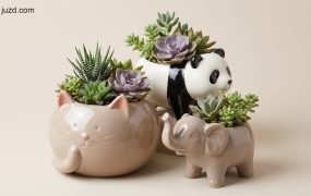 AI电商美工设计方案：一键生成治愈系陶瓷动物花盆素材，提升视觉转化率