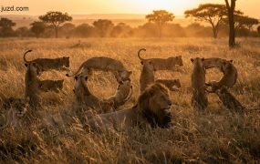 AI视觉错觉海报：自媒体高互动“隐藏文字”生成方案，让用户忍不住停留评论