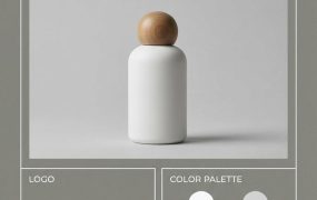 品牌设计指南海报生成方案：一张产品图，AI一键产出专业VI视觉规范手册