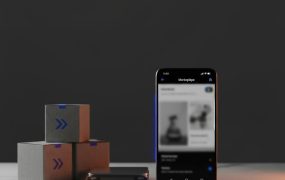 [闲鱼引流实战]闲鱼养号起号与高转化运营方案：从0到1精准引流获客