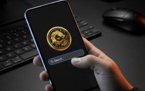 抖音拉新项目：单笔3元无门槛，安卓端搜索即变现，2024年底蓝海高转化方案