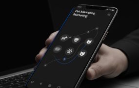 私域宠物项目：精准引流与高效变现SOP，单日可见收益的实战方案