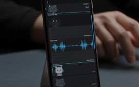 AI宠物播客短视频实战教程：1周涨粉2W的爆款人设与变现全流程