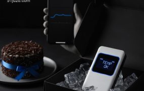 “温度可视化”配送悄然兴起：普通人如何复制京东模式，做起高端品控生意