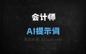 会计师AI提示词