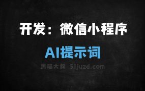 ﻿开发：微信小程序AI提示词