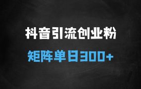 抖音搬运引流创业粉,工具号10分钟一篇,可矩阵多账百分百去重,单日引流300+(需要分流)