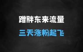 ﻿蹭胖东来流量，三天涨万粉，收益直接起飞
