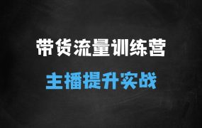 ﻿直播带货流量训练营，行业基础术语扫盲，起号及账号破层级，运营型人设主播提升实战