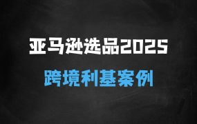 亚马逊跨境电商选品案例(更新2025年),跨境电商利基选品
