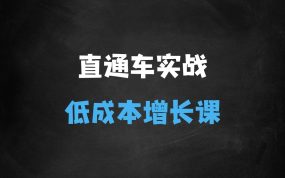 ﻿直通车实战系统：低成本询盘增长课，让个人通过技能实现升职加薪，让企业低成本获客，订单源源不断