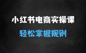 ﻿小红书电商实操课，0基础小白轻松上手，掌握小红书基本玩法规则，讲解小红书人群属性