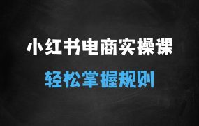 小红书电商实操课,0基础小白轻松上手,掌握小红书基本玩法规则,讲解小红书人群属性