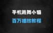 ﻿只用手机靠一只“跳舞的小猫”爆发百万播放，狂撸分成收益，保姆级教学