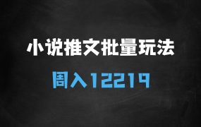 ﻿小说推文书单批量玩法2.0版本，单号单平台周入12219