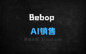 Bebop–AI销售工具,快速生成潜在客户名单