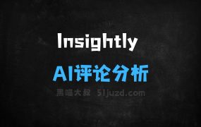 ﻿Insightly–AI评论分析工具，精准识别评论中的情感倾向