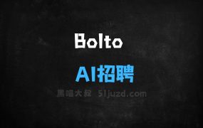 Bolto–AI招聘平台,专注软件工程师人才筛选