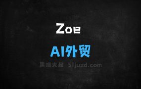 ﻿Zoe–AI外贸助手，国内首个外贸行业垂类Agent