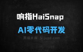 ﻿响指HaiSnap–AI零代码应用开发平台，可视化搭建应用
