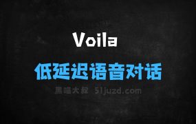 Voila–开源端到端语音大模型,实现低延迟语音对话