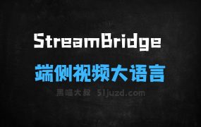 StreamBridge–苹果联合复旦推出的端侧视频大语言模型框架