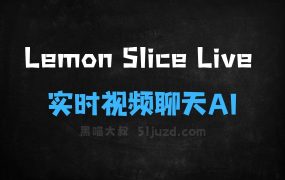 ﻿LemonSliceLive–LemonSlice推出的实时视频聊天AI工具