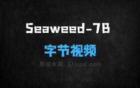 ﻿Seaweed7B–字节推出的视频生成模型